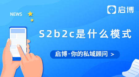 S2b2c是什么模式？為什么S是大寫b和c卻是小寫？